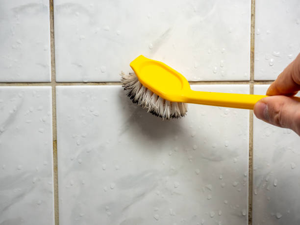 Home Mold Removal in Bennettsville, SC