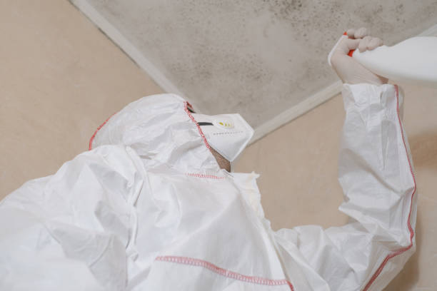Best Commercial Mold Removal  in Bennettsville, SC