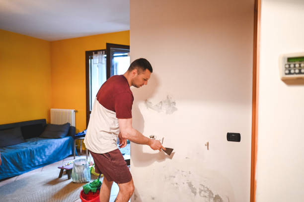 Best Certified Mold Removal  in Bennettsville, SC
